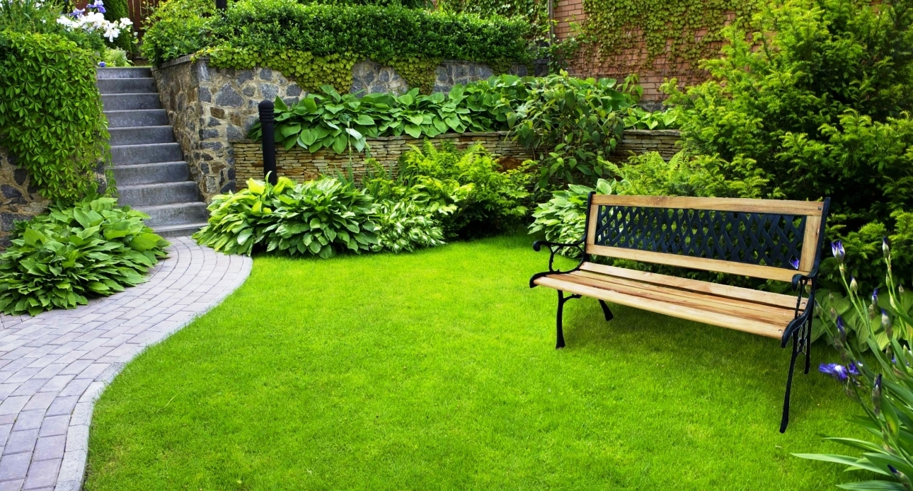 Превращение привычного огорода в зеленую зону отдыха