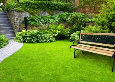 Превращение привычного огорода в зеленую зону отдыха