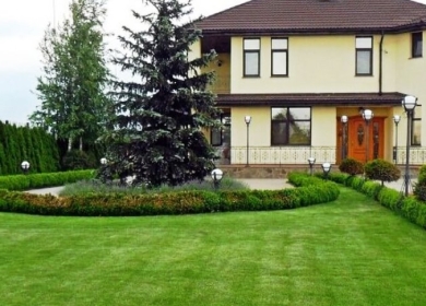 Загородный дом с газоном
